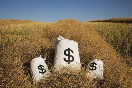 Campaign Finance Data From Proposition 37 Image